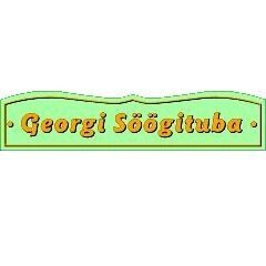 Georgi-1_1